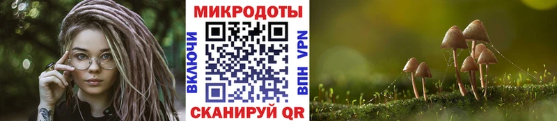 что такое   Азов  hydra как войти  Галлюциногенные грибы GOLDEN TEACHER 